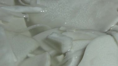 Bambu filizlerinden yiyecekler.