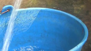 Bahçeden sebze topla, yıka ve pişir.