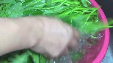 Bahçeden sebze topla, yıka ve pişir.