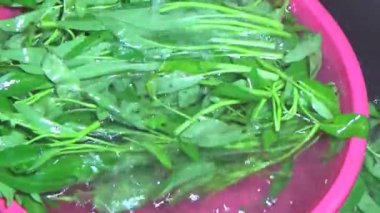 Bahçeden sebze topla, yıka ve pişir.