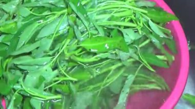 Bahçeden sebze topla, yıka ve pişir.