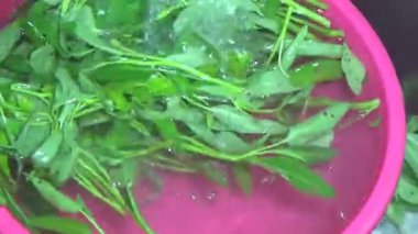 Bahçeden sebze topla, yıka ve pişir.