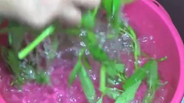 Bahçeden sebze topla, yıka ve pişir.