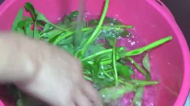 Bahçeden sebze topla, yıka ve pişir.