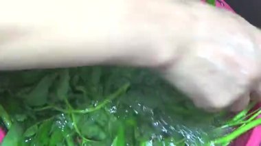 Bahçeden sebze topla, yıka ve pişir.