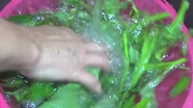 Bahçeden sebze topla, yıka ve pişir.