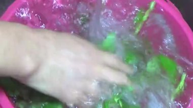 Bahçeden sebze topla, yıka ve pişir.