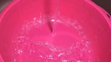 Bahçeden sebze topla, yıka ve pişir.