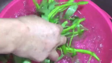 Bahçeden sebze topla, yıka ve pişir.