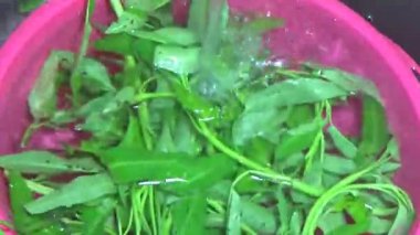 Bahçeden sebze topla, yıka ve pişir.