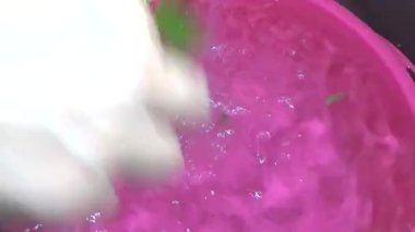 Bahçeden sebze topla, yıka ve pişir.