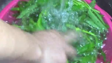 Bahçeden sebze topla, yıka ve pişir.