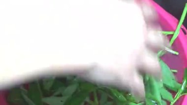 Bahçeden sebze topla, yıka ve pişir.