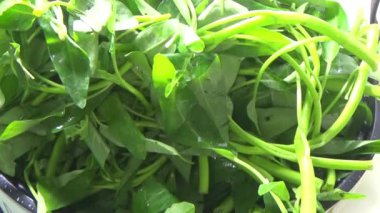 Bahçeden sebze topla, yıka ve pişir.