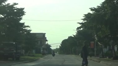 ağaç üzerinde arı kovanı