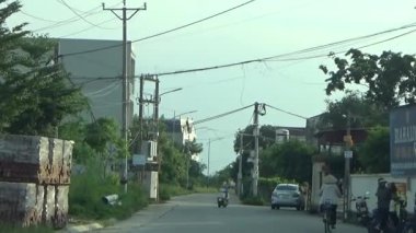 ağaç üzerinde arı kovanı