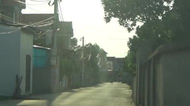 ağaç üzerinde arı kovanı