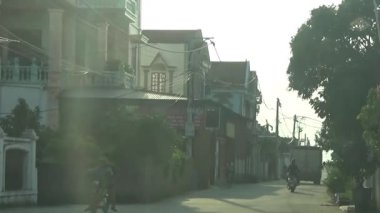 ağaç üzerinde arı kovanı