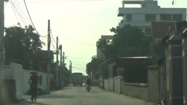 ağaç üzerinde arı kovanı