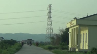 ağaç üzerinde arı kovanı