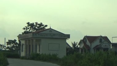 ağaç üzerinde arı kovanı