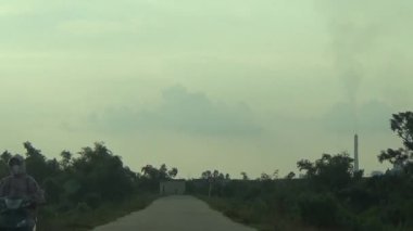 ağaç üzerinde arı kovanı