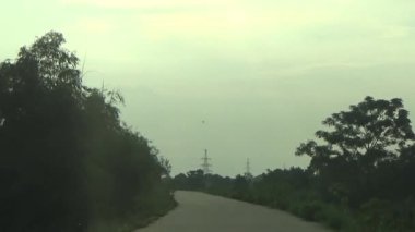 ağaç üzerinde arı kovanı