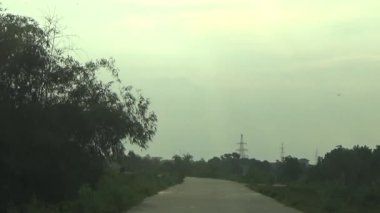 ağaç üzerinde arı kovanı