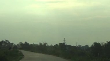 ağaç üzerinde arı kovanı