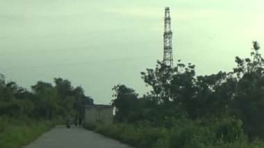 ağaç üzerinde arı kovanı