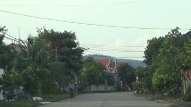 ağaç üzerinde arı kovanı