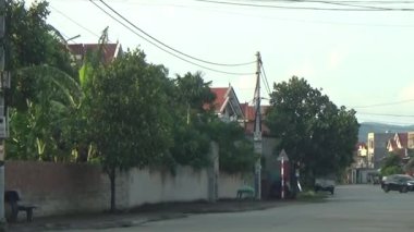 ağaç üzerinde arı kovanı