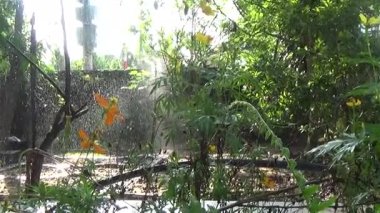 Sebze bahçesinde fıskiye