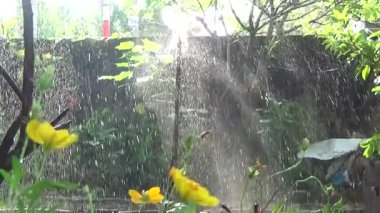 Sebze bahçesinde fıskiye