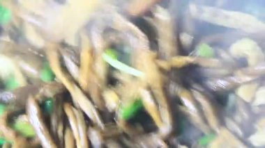 Geleneksel Vietnam yemekleri.