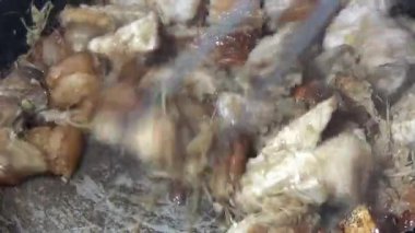 Domuzu parçalara ayır, eti baharatlarla terbiye et ve eti bir tencere yağda kızart.