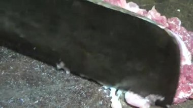 Domuzu parçalara ayır, eti baharatlarla terbiye et ve eti bir tencere yağda kızart.