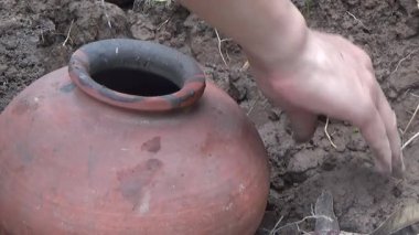 Bahçede ve vazolarda bitkiler yetişir.