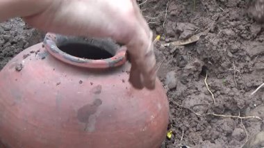 Bahçede ve vazolarda bitkiler yetişir.