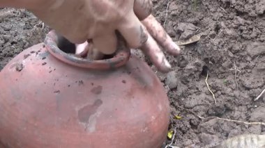 Bahçede ve vazolarda bitkiler yetişir.