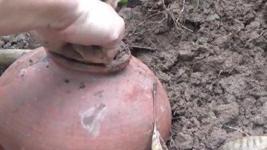 Bahçede ve vazolarda bitkiler yetişir.