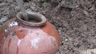 Bahçede ve vazolarda bitkiler yetişir.