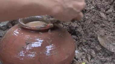 Bahçede ve vazolarda bitkiler yetişir.