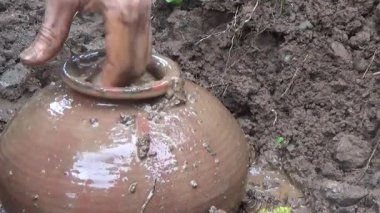 Bahçede ve vazolarda bitkiler yetişir.