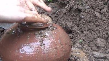 Bahçede ve vazolarda bitkiler yetişir.