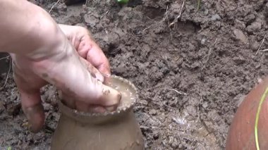 Bahçede ve vazolarda bitkiler yetişir.