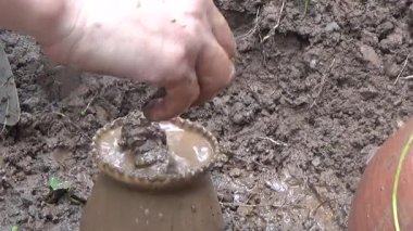 Bahçede ve vazolarda bitkiler yetişir.