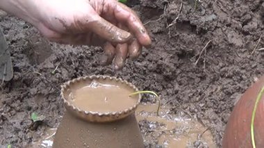 Bahçede ve vazolarda bitkiler yetişir.