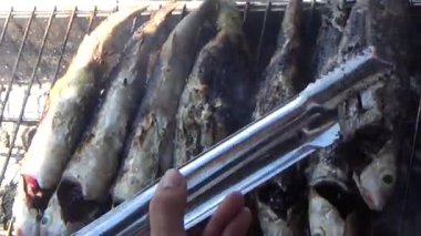 fishermen grill fish, shrimp, mussels, on the boat