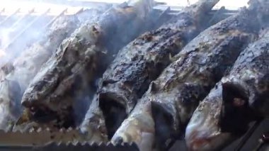fishermen grill fish, shrimp, mussels, on the boat